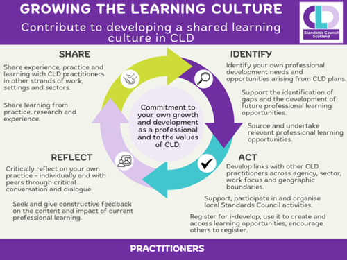 Diagram showing the key actions and responsibilites for practitioners